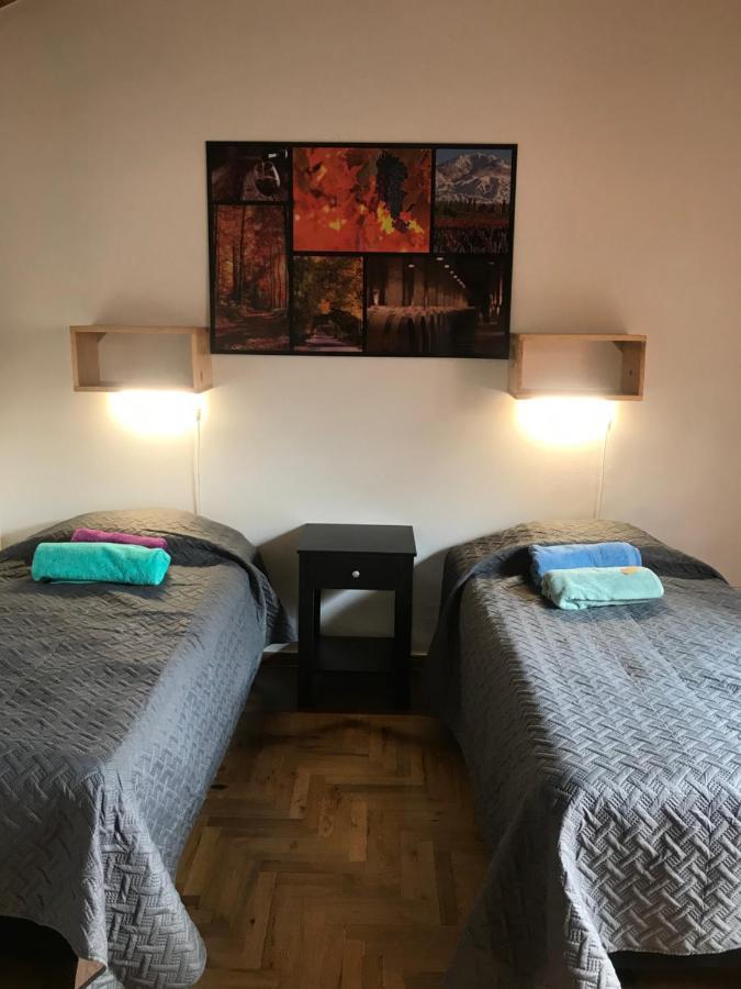 Mza Wine Apartment -Next To Aristides Street- First Class Μεντόζα Εξωτερικό φωτογραφία